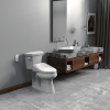 Elongated LED Light Electric Bidet Toilet Seat Heated Toilet Seat with Warm Air Dryer and Night Light
